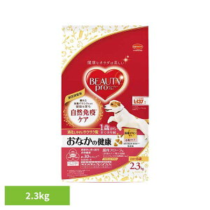 �h�b�O�t�[�h �r���[�e�B�[�v�� �h�b�O ���Ȃ��̌��N 1�΂��� �h���C�t�[�h �����p �V�j�A �Ή� �����h�{�H 2.3kg ������ 6�� �b��t�ďC ���F�� ���� ���Y�� �y�b�g�t�[�h �� ���� �`�L�� �T�N