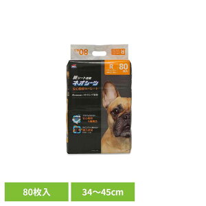 lIV[c J[{Zp[g M[80 3630353ybgpi ybgV[c ^ L z  Ck  gC ЃR[`[