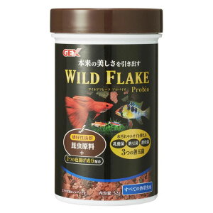 _J a GT Ϗ܋  ANAE GEX Cht[N voCI52g  GT a Mы Ϗ܋ _J ߂  WFbNX yDz