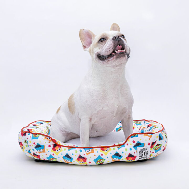 楽天市場 最大350円offクーポン配布 ワンにゃんday 数量限定 在庫限り セサミストリート スクエアベッド M ペットベッド ペット用 カドラー 猫 キャット 寝具 犬 ドッグ やわらか 秋冬 あったか ラブリーペット ブルー ホワイト D 犬とenjoｙ ドッグパーク