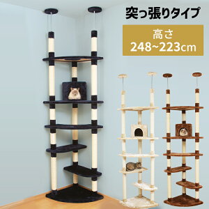 キャットタワー スリム おしゃれ 突っ張り ツインポール ベージュ ブラウン ネイビー コーナー 猫タワー 多頭飼い 複数飼い おもちゃ 爪とぎ 爪みがき 運動不足
