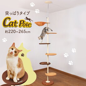 楽天市場 キャットポール ボンビ キャットタワー 猫用品 ペット ペットグッズの通販 楽天市場 キャットポール ボンビ キャットタワー 猫用品 ペット ペットグッズの通販