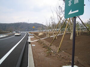 򐻖@Ήj[h}` F 2m x 50m@@ll聦s