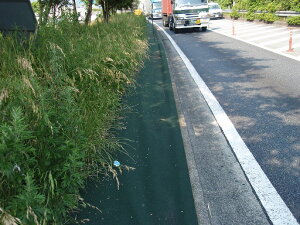 򐻖@Ή}`tFgGo[ ΐF 2m x20m@@ll聦s