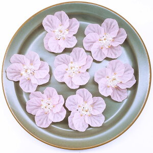 【道後雑貨店】2個 ※高品質立体貼り付けパーツ ハンドメイド アクセサリーパーツ アクリルストーン アクリルビーズ チャーム レア インポート 手芸 材料 副資材 レトロ モード系 ハンド