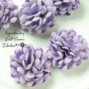 yGݓXz2 t[J{V@p[v@nhCh ANZT[p[c ANXg[ ANr[Y `[ A C|[g | ޗ  g [hn n