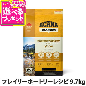 AJi NVbN vC[|[g[Vs 9.7kg hbOt[h hbN   q  VjA ps[ {yDz