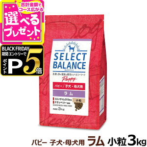 yubNtCf[!Gg[łP5{zZNgoX ps[ 3kg  hbOt[h r q ꌢ hC e  1˖ DP ~NveCi hbN 