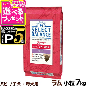 yubNtCf[!Gg[łP5{zZNgoX ps[   7kg  hbOt[h r q ꌢ hC e  1˖ DP ~NveC hbN 