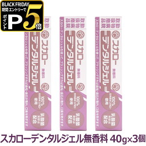 XJ[f^WF  40g×3Zbg ǐՉ\[֑Ήisj  L ݂   ΂Ƃ C   L \h ݂͂ uV ubVO f^