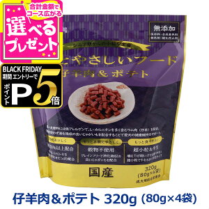 yubNtCf[!Gg[łP5{zybc[g Ƃ₳t[h er|eg 320g  Z~CXg hbOt[h hbNt[h VjA  YyDz