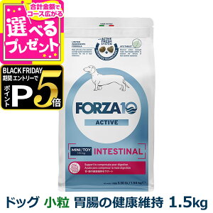 yubNtCf[!Gg[łP5{ztHc@10 FORZA10 CeXeBiANeBu ~j  1.5kg  tHc@10 ݒ̌Nێ HÖ@H    r  AN