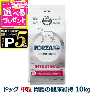 yubNtCf[!Gg[łP5{ztHc@10 FORZA10 CeXeBiANeBu ~fBA  10kg  tHc@10 ݒ̌Nێ HÖ@H    r 