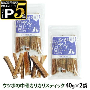  L  Y Y 񂱂₶̂ Ec{JJXeBbN 40g×2܃Zbg ǐՉ\[ւ̂ݑisjEc{  f^PA JVE