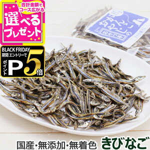 yubNtCf[!Gg[łP5{z L  Y Y 񂱂₶̂ YтȂ 50g   Y Y L ybg hbO Lbg Lp p 