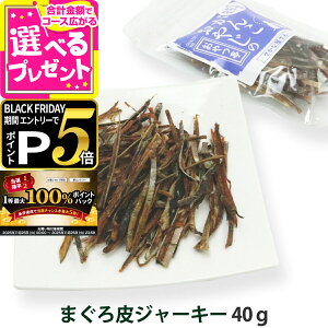 y11/25 vGg[ő100|CgobNz L  Y Y 񂱂₶̂ }OW[L[ 40g    Y Fsgp ܂ a̎RY YyZz