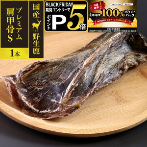 y11/25 vGg[ő100|CgobNz  Y Y 񂱂₶̂ Y쐶 v~A b S 1{WrG J[ Y  VJ hbO f^PA 