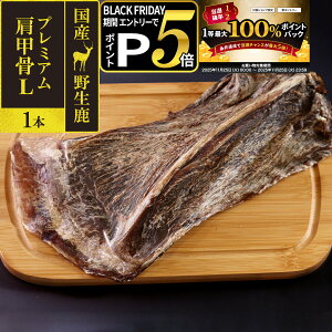 y11/25 vGg[ő100|CgobNz  Y Y 񂱂₶̂ Y쐶 v~A b L 1{WrG J[ Y  VJ hbO f^PA 