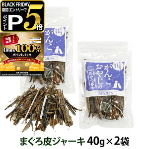 y11/25 vGg[ő100|CgobNz L  Y Y 񂱂₶̂ }OW[L[ 40g×2܃Zbg ǐՉ\[ւ̂ݑisj Fs