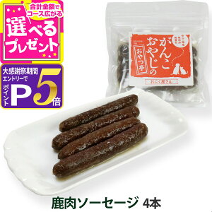 �y�労�ӍՌ���!�G���g���[�ł����P5�{�z�� �L ����� ���Y�� ���Y ���񂱂��₶�̂���� �����\�[�Z�[�W 4�{ �� ����� �� ���Y�� ���F���s�g�p �V�j�A �W�r�G�yZ�z