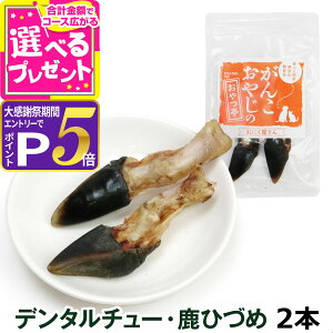 �y�労�ӍՌ���!�G���g���[�ł����P5�{�z�� ����� ���Y�� ���Y ���񂱂��₶�̂���� �f���^���`���[�E���ЂÂ� 2�{ ������� ���Y�� ���L ������ ���� �� ����� �K�� ���݂��� ���u��