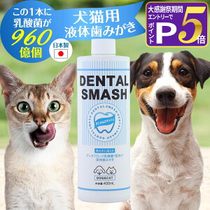 �y�労�ӍՌ���!�G���g���[�ł����P5�{�z���L�p �t�� ������ �f���^���X�}�b�V�� �}�E�X�P�A�E�H�[�^�[ 400ml �I�[�����P�A �y�b�g ������ ���L ���� ���o �\�h �f���^�u���b�N���_�� KT-11�yZ