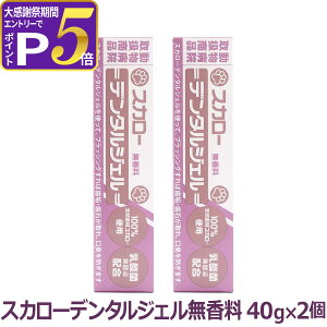 �X�J���[�f���^���W�F�� ������ 40g×2�Z�b�g �ǐՉ\���[���֑Ή��i�����s�j �� �L ���݂��� ������ ���� ���΂Ƃ� ���C ���� ���� ���L �\�h �݂͂��� ���u���V �u���b�V���O �f���^��