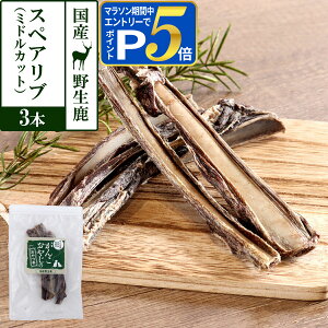 yvGg[!11/10ő100PobNƃ}\P5{z  Y Y 񂱂₶̂ Y쐶̃XyAu ~hJbg 3{ WrG J[ Y ΂獜 J