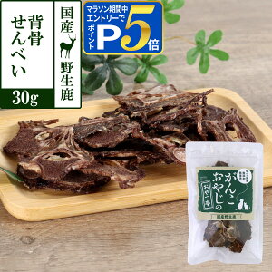 yvGg[!11/10ő100PobNƃ}\P5{z  Y Y 񂱂₶̂ Y쐶 wׂ 30g WrG J[ Y  VJ   ybg 