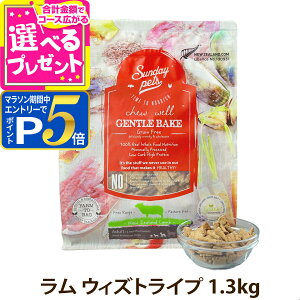 y}\Ԍ!vGg[łP5{zypbP[WdlύXς݁zTf[ybc hbOt[h WFgxCN OCt[  EBYgCv 1.3kg  hbNt[h 