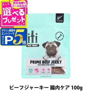 yvGg[!11/10ő100PobNƃ}\P5{zitiiCeBj hbOg[c r[tW[L[ PA 100gyZz