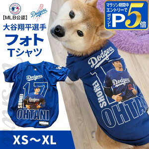 y}\Ԍ!vGg[łP5{zMLB T[X hW[X JĕI胂f jtH[ ĕI胂f tHg TVc XS`XLTCY  hbN hbOEFA y