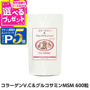 yvGg[!11/10ő100PobNƃ}\P5{z{r[Gt R[QORT~ 600  Tvg veIOJ ORT~ RhC`  ֐ 畆