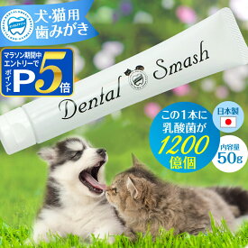 ペット用 歯磨き デンタルスマッシュ トゥースペースト 50g 追跡可能メール便のみ送料無料（同梱不可）オーラルケア 犬 猫 歯みがき 歯磨き粉 歯石 歯周 歯磨きジェル デンタブロック乳酸菌 KT-11 サイクロデキストランCI