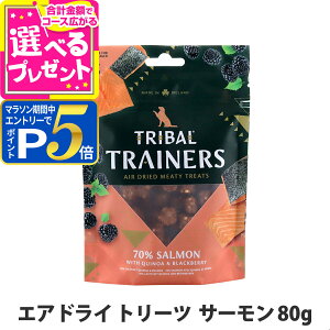 y}\Ԍ!vGg[łP5{zgCo GAhCg[c T[ 80g    GAhC g[jOg[c sgp OCt[ hbO TRIBALyDz