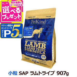 y}\Ԍ!vGg[łP5{zyܖ2025/10/15`փpbP[WŏoׁzybgJCh gCvhC gCv SAP  907g  hbOt[h OCt[ 