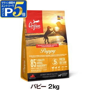 �y�}���\�����Ԍ���!�v�G���g���[�ł����P5�{�z�I���W�� �p�s�[ 2kg �h�b�O�t�[�h �� ORIJEN �h�b�N �h���C �q���yD�z