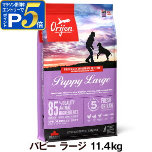 �y�v�G���g���[!5/15����ő�100��P�o�b�N+�����P5�{�z�I���W�� �p�s�[���[�W 11.4kg �h�b�O�t�[�h �� ��^�� ORIJEN �h�b�N �h���C �q�� �yD�z