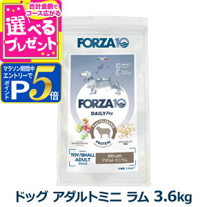�y�}���\�����Ԍ���!�v�G���g���[�ł����P5�{�z�t�H���c�@10 FORZA10 �f�C���[�v�� �A�_���g�~�j ���� ���� 3.6kg �� �t�H���c�@10 ��A�����M�[ �r �A�_���g ���� �t�H���c�@�f�B�G�`�yD�z