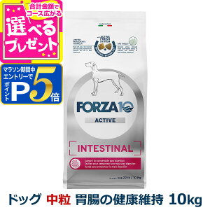 �y�}���\�����Ԍ���!�v�G���g���[�ł����P5�{�z�t�H���c�@10 FORZA10 �C���e�X�e�B�i���A�N�e�B�u �~�f�B�A�� ���� 10kg �� �t�H���c�@10 �ݒ��̌��N�ێ� �H���Ö@�H �� �� ���� �r�� ������ �A