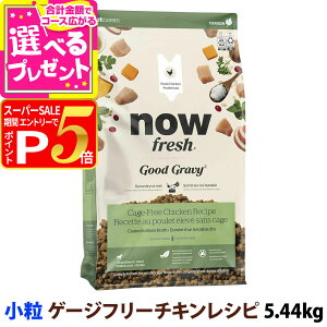 y12/5 vGg[ő100|CgobNziEtbV ObhO[r[ X[u[h Q[Wt[`LVs 5.44kg  NOW FRESH  hbOt[h hbN hC  VjA