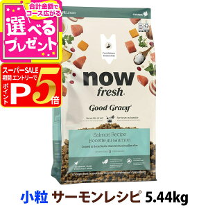 y12/5 vGg[ő100|CgobNziEtbV ObhO[r[ X[u[h T[Vs 5.54kg  NOW FRESH  hbOt[h hbN hC  VjA ^yD