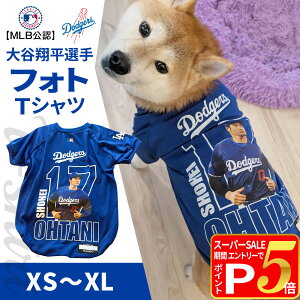 y12/5 vGg[ő100|CgobNzMLB T[X hW[X JĕI胂f jtH[ ĕI胂f tHg TVc XS`XLTCY  hbN hbOEFA ybg