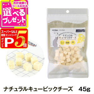 y12/5 vGg[ő100|CgobNzi`n[xXg/Jg[[h i`L[rbN`[Y 45g  L  t[YhC gbsO g[c yZz