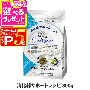 y12/10 vGg[ő100|CgobNzZNgoX PAVs T|[gVs  800g hbOt[h  hC  A_g zCgtBbV Ȃ _ rt