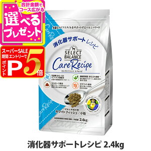 y12/10 vGg[ő100|CgobNzZNgoX PAVs T|[gVs  2.4kg hbOt[h  hC  A_g zCgtBbV Ȃ _ rt