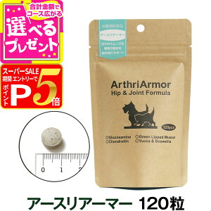 yX[p[SALE!vGg[łP5{z(j[A)lC`[xbg A[XA[}[ 120 ֐߃PA ORT~ ֐߉ ֐߃T|[g VjA   L Tvg Tv 