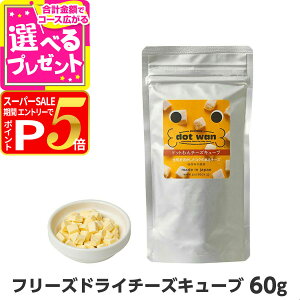 y12/5 vGg[ő100|CgobNzhbg t[YhC `[YL[u 60g p  t[h Y YyDz