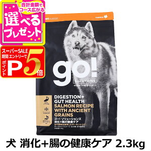 y12/5 vGg[ő100|CgobNzGO! S[ \[VY +̌NPA Ñ㍒ T[ 2.3kg  hbO t[h hbN X[p[t[h H@ IKb_  