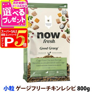 y12/5 vGg[ő100|CgobNziEtbV ObhO[r[ X[u[h Q[Wt[`LVs 800g  NOW FRESH  hbOt[h hbN hC  VjA 